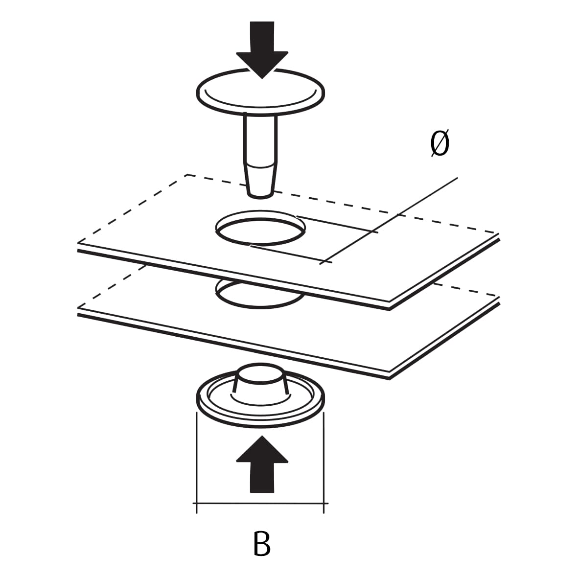 https://filter.conacord-website.janus.okeano.de/technical/520535.jpg